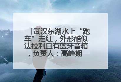 武汉东湖水上“跑车”走红，外形酷似法拉利且有蓝牙音箱，负责人：高峰期一两百人排队